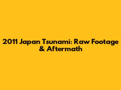 2011 Japan Tsunami: Raw Footage & Aftermath