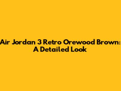 Air Jordan 3 Retro Orewood Brown: A Detailed Look
