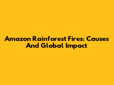 Amazon Rainforest Fires: Causes And Global Impact