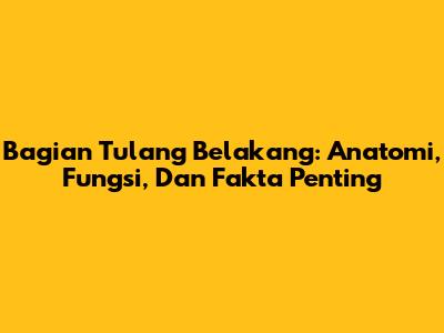 Bagian Tulang Belakang: Anatomi, Fungsi, Dan Fakta Penting