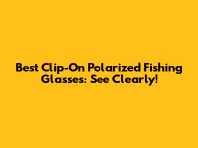 Best Clip-On Polarized Fishing Glasses: See Clearly!