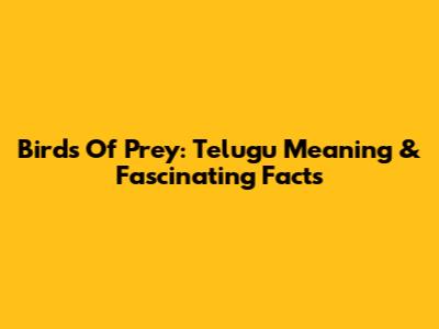 Birds Of Prey: Telugu Meaning & Fascinating Facts