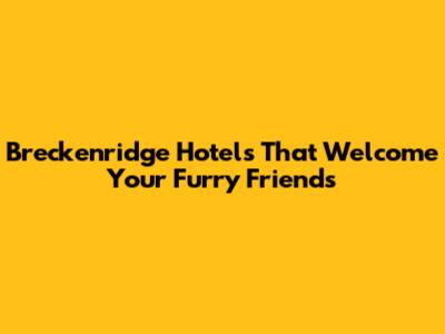 Breckenridge Hotels That Welcome Your Furry Friends