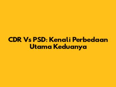 CDR Vs PSD: Kenali Perbedaan Utama Keduanya