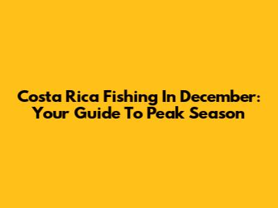 Costa Rica Fishing In December: Your Guide To Peak Season