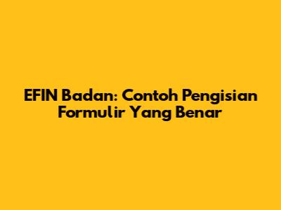 EFIN Badan: Contoh Pengisian Formulir Yang Benar