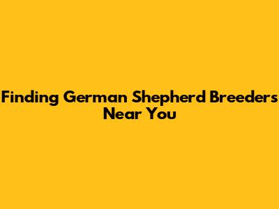 Finding German Shepherd Breeders Near You