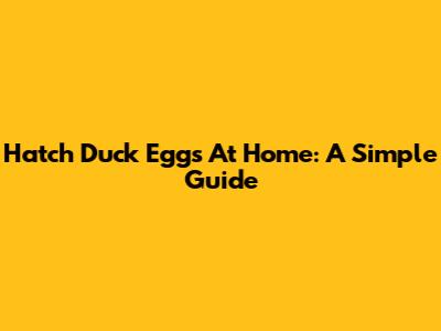 Hatch Duck Eggs At Home: A Simple Guide