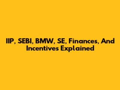 IIP, SEBI, BMW, SE, Finances, And Incentives Explained