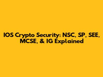 IOS Crypto Security: NSC, SP, SEE, MCSE, & IG Explained