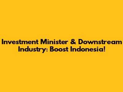 Investment Minister & Downstream Industry: Boost Indonesia!