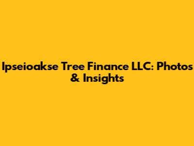 Ipseioakse Tree Finance LLC: Photos & Insights