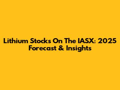 Lithium Stocks On The IASX: 2025 Forecast & Insights