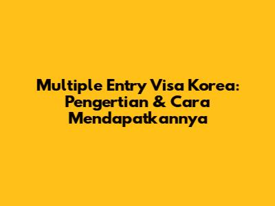 Multiple Entry Visa Korea: Pengertian & Cara Mendapatkannya