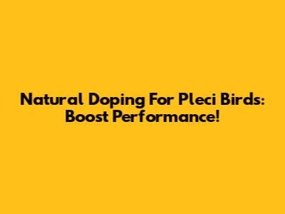 Natural Doping For Pleci Birds: Boost Performance!