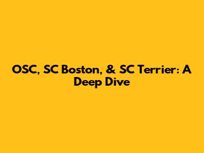 OSC, SC Boston, & SC Terrier: A Deep Dive