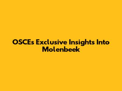 OSCE's Exclusive Insights Into Molenbeek