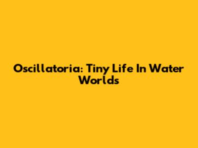Oscillatoria: Tiny Life In Water Worlds