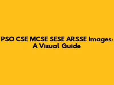 PSO CSE MCSE SESE ARSSE Images: A Visual Guide