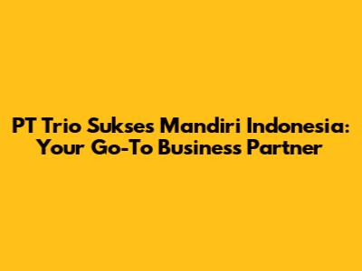 PT Trio Sukses Mandiri Indonesia: Your Go-To Business Partner