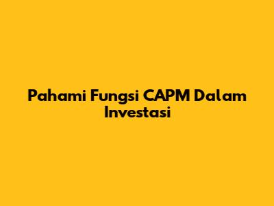 Pahami Fungsi CAPM Dalam Investasi