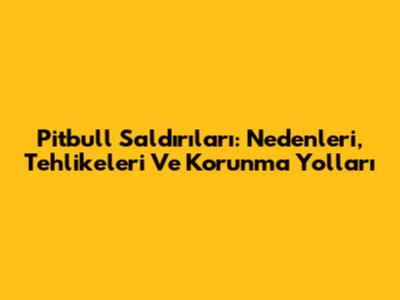 Pitbull Saldırıları: Nedenleri, Tehlikeleri Ve Korunma Yolları