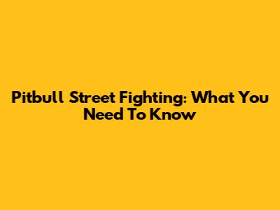 Pitbull Street Fighting: What You Need To Know