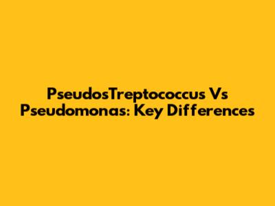 PseudosTreptococcus Vs Pseudomonas: Key Differences