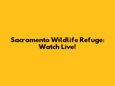 Sacramento Wildlife Refuge: Watch Live!