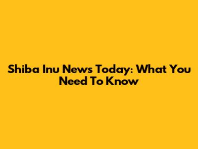 Shiba Inu News Today: What You Need To Know