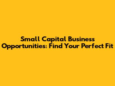 Small Capital Business Opportunities: Find Your Perfect Fit