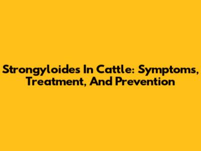 Strongyloides In Cattle: Symptoms, Treatment, And Prevention