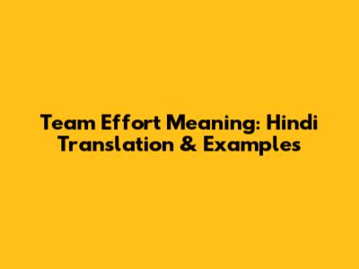 Team Effort Meaning: Hindi Translation & Examples