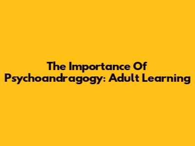 The Importance Of Psychoandragogy: Adult Learning
