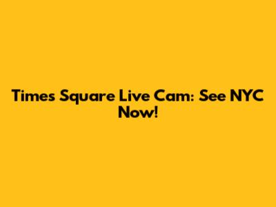 Times Square Live Cam: See NYC Now!
