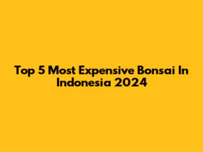 Top 5 Most Expensive Bonsai In Indonesia 2024