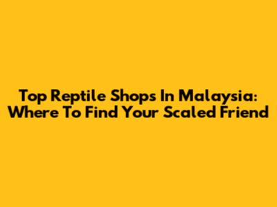 Top Reptile Shops In Malaysia: Where To Find Your Scaled Friend