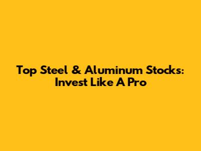 Top Steel & Aluminum Stocks: Invest Like A Pro