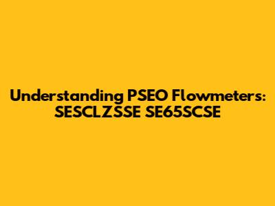 Understanding PSEO Flowmeters: SESCLZSSE SE65SCSE