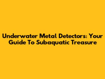 Underwater Metal Detectors: Your Guide To Subaquatic Treasure